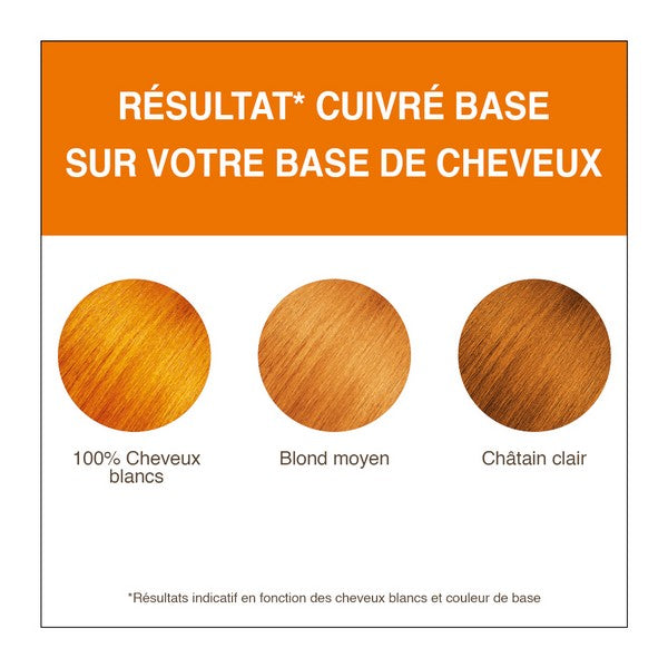 Terre De Couleur -- Coloration végétale cuivré base - 100 g